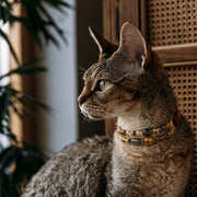 Collar Serenidad Cuarzo Ahumado